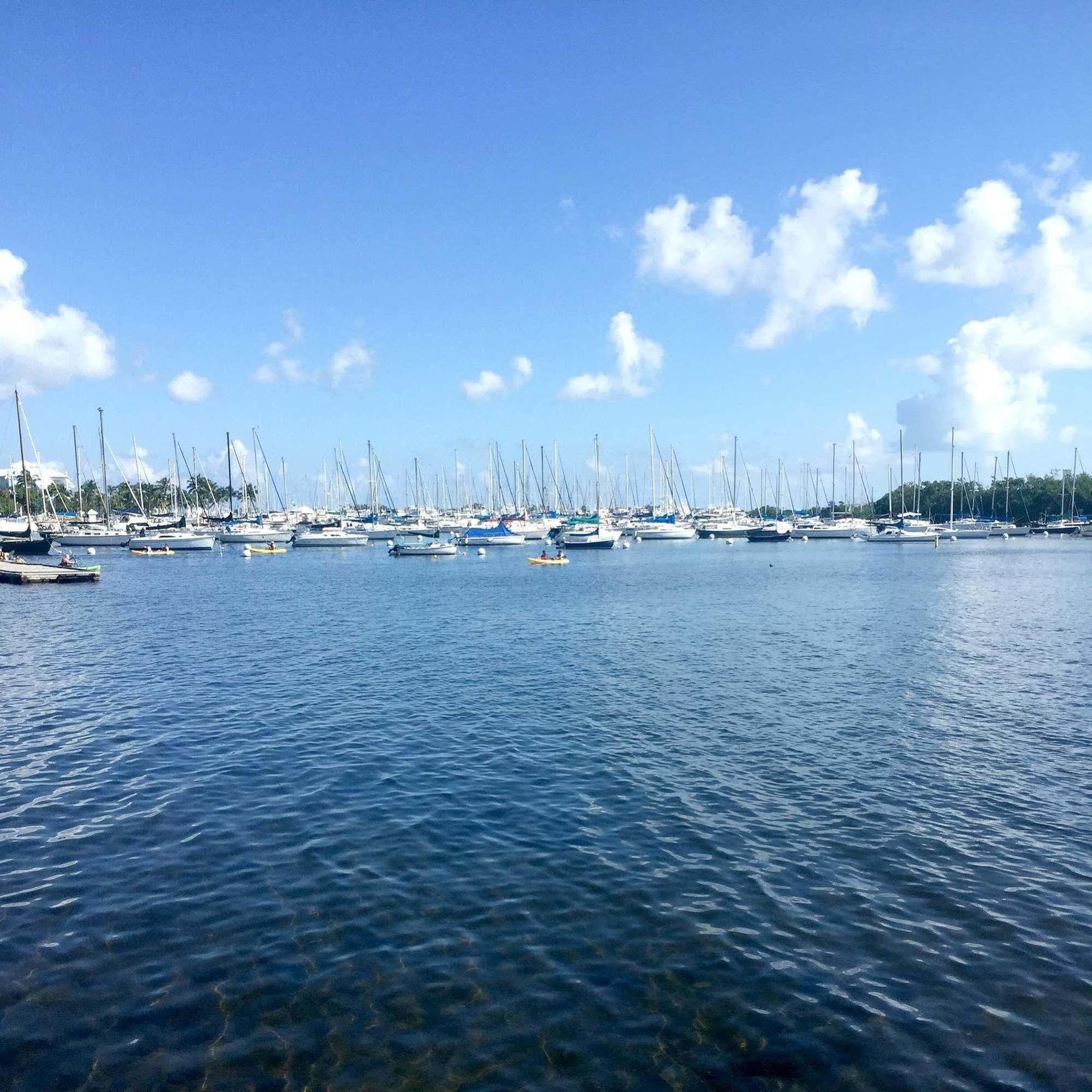 Pelicanstay In Coconut Grove Miami Коръл Гейбълс Екстериор снимка